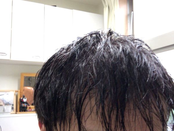 洗髪後の濡れた髪の毛